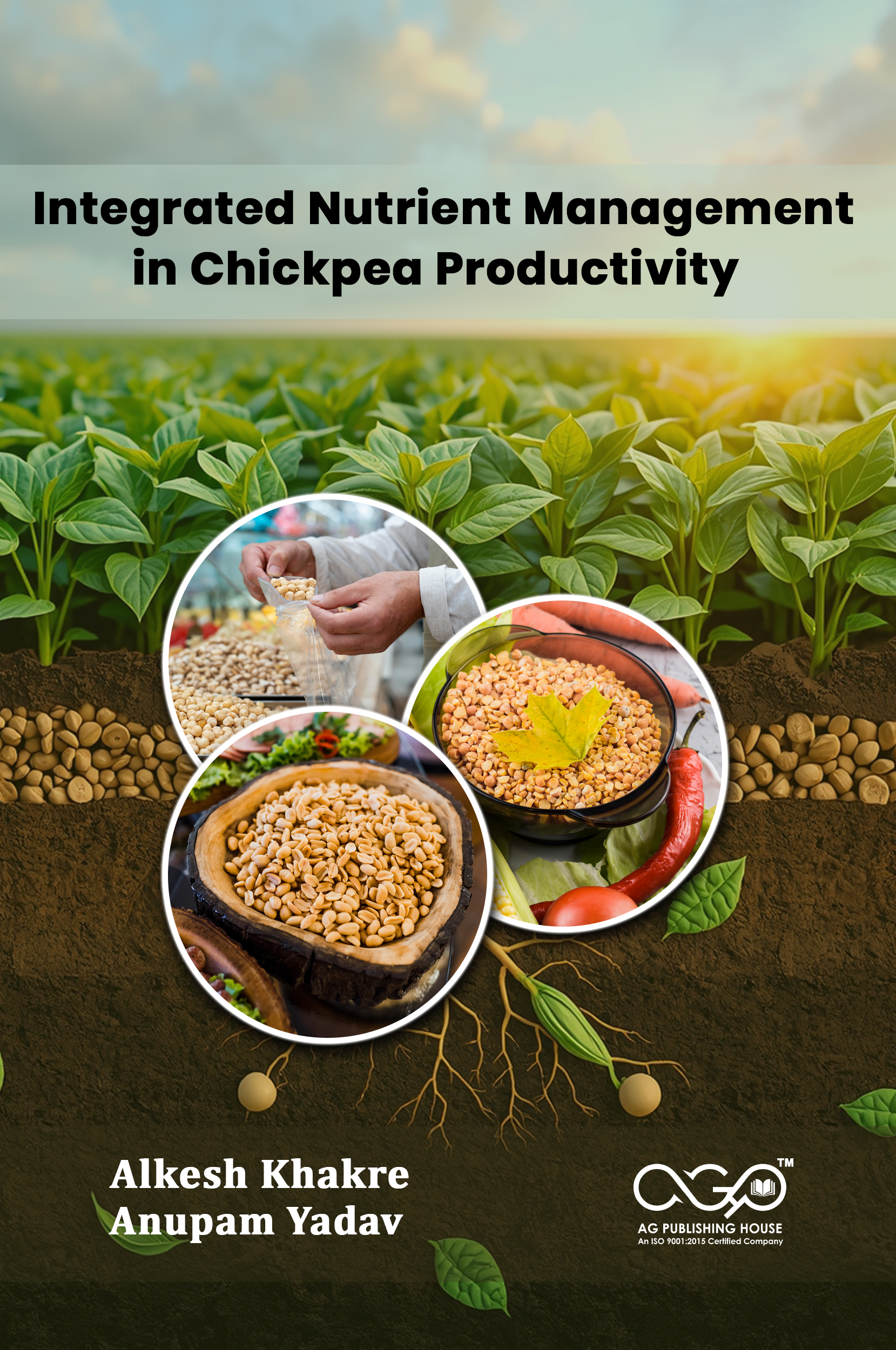 Integrated Nutrient Management in Chickpea Productivity | Optimizing Chickpea Yields | AGPH Books