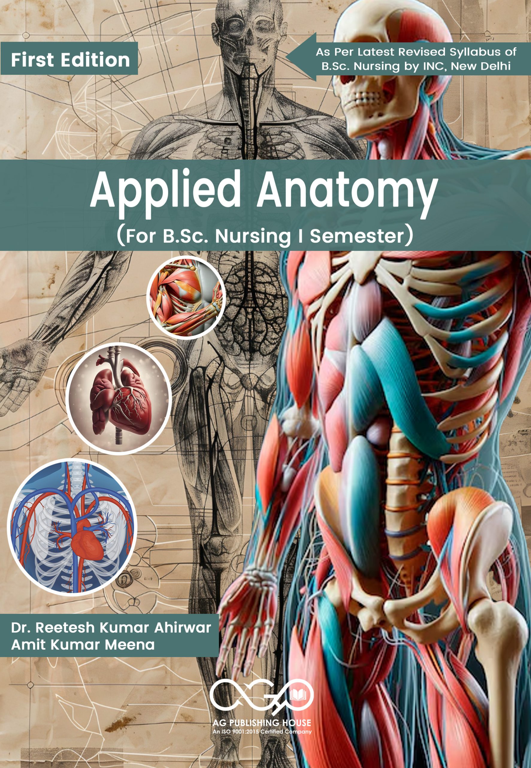 Applied Anatomy