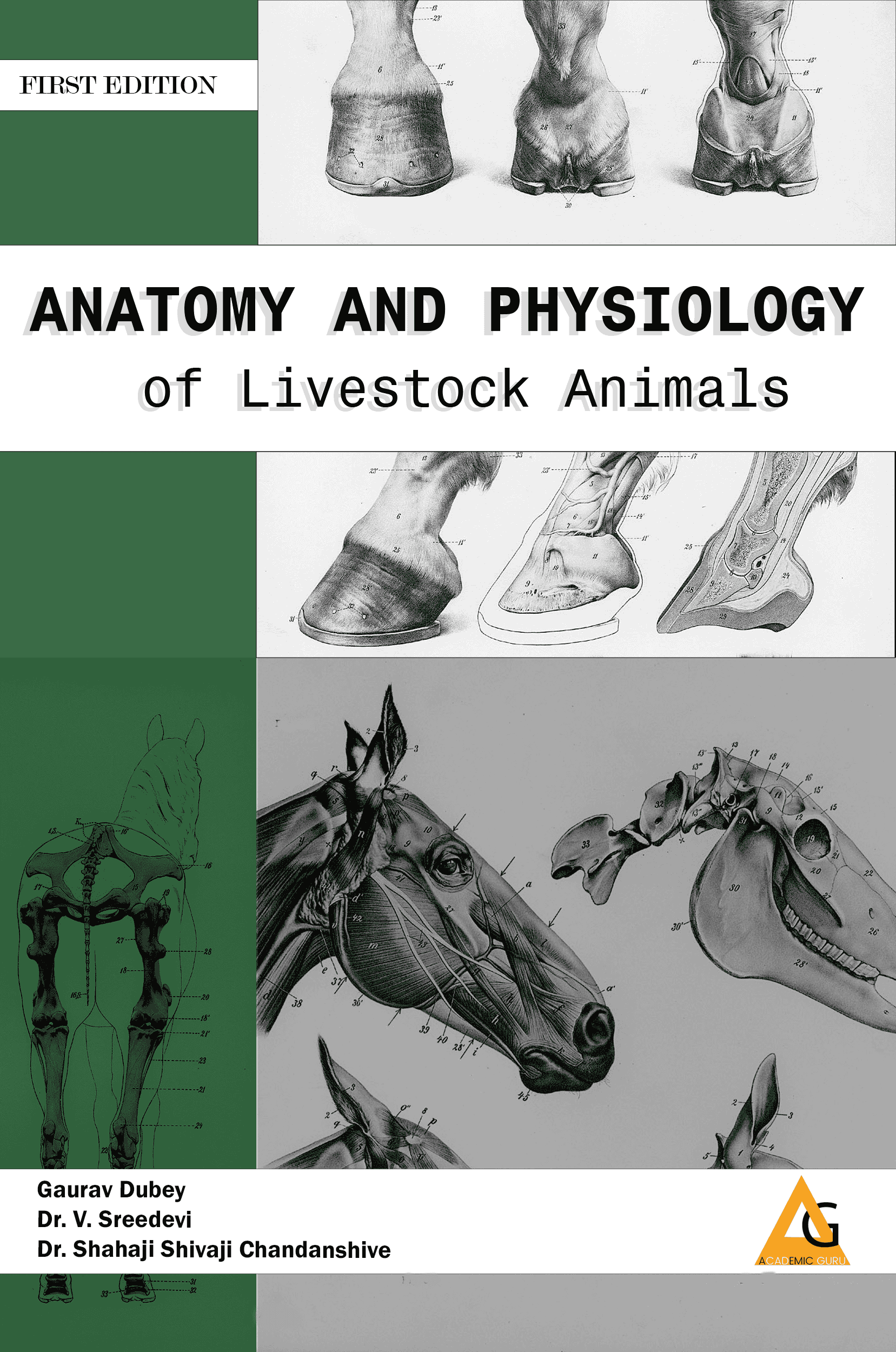 Anatomy and Physiology Of Livestock Animals