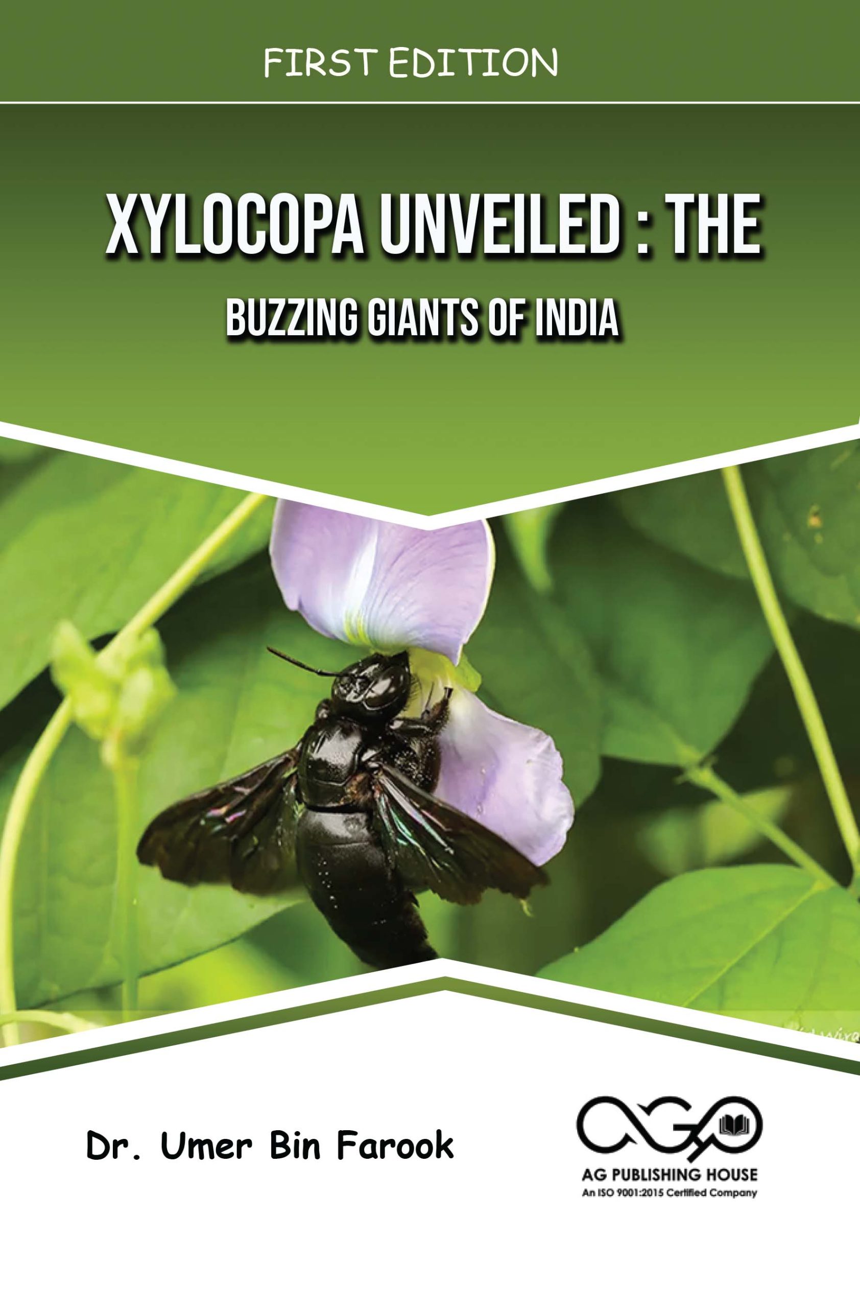 Xylocopa Unveiled : The Buzzing Giants of India